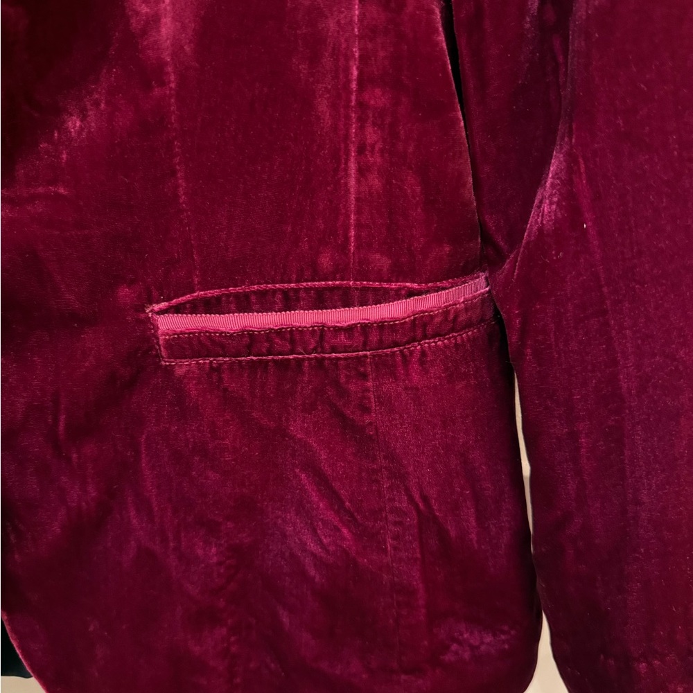 Anthropologie Rich Velvet Blazer in Raspberry - Picture 2 of 4